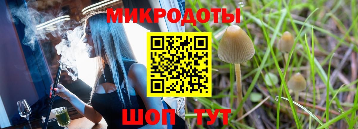 Зима  Галлюциногенные грибы Magic Shrooms  Вход с VPN 